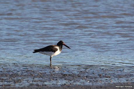 San Clemente del Tuyú (marzo 2024)