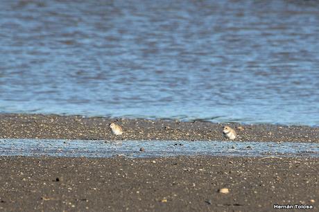 San Clemente del Tuyú (marzo 2024)
