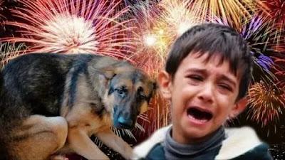 Prohibir los Fuegos Artificiales en Ronda, Málaga Prohibir los Fuegos Artificiales en Ronda, Málaga