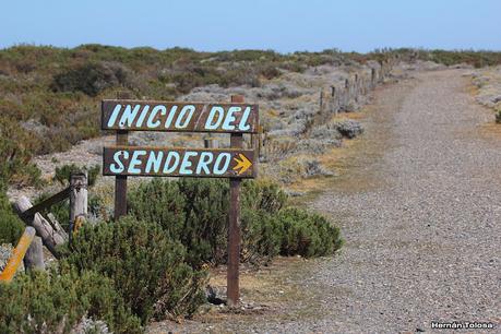 Pingüinera de Cabo Vírgenes