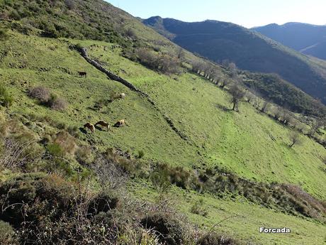 Alto San Lorenzo-La Mirandieḷḷa-La Pena l´Home-Brañieḷḷa