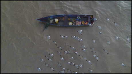 Columna de Juan Martorano Edición 233: Probando nuestra determinación en el nuevo estado Guayana Esequiba.