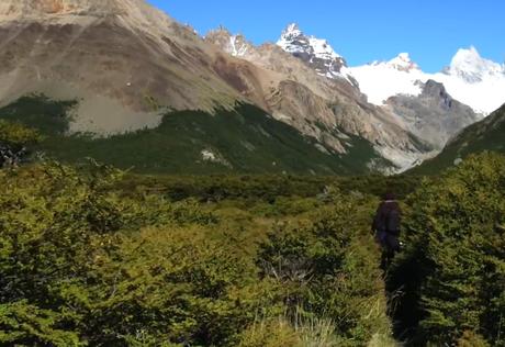 02.-Excursión-El-Calafe-Chaltén-12.jpg