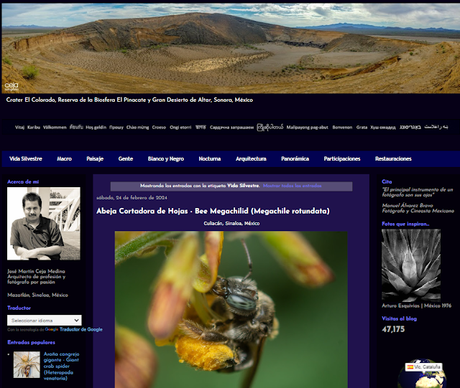 ENTREVISTAS BLOGUERAS: JOSÉ MARTÍN CEJA MEDINA