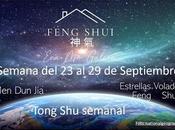 ✨Tong Shu, Estrellas Voladoras septiembre 2024