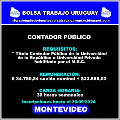 CONTADOR PÚBLICO