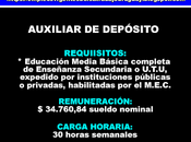 Auxiliar depósito