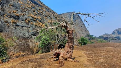 ANGOLA: LAS CATARATAS CALANDULA Y PEDRAS NEGRAS ANGOLA: LAS CATARATAS CALANDULA Y PEDRAS NEGRAS