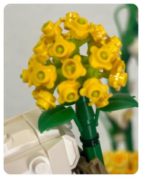 🎂  17 de Septiembre 2024 (55 años) 🎂