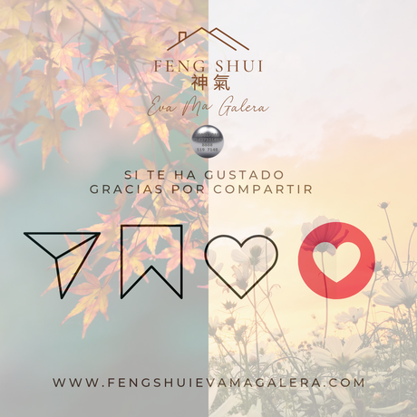 Consejos cambio de estación Otoño 🍂 o Primavera 🌼🌸