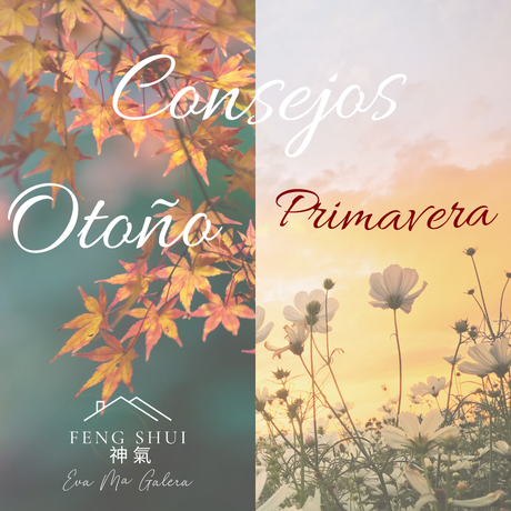Consejos cambio de estación Otoño 🍂 o Primavera 🌼🌸