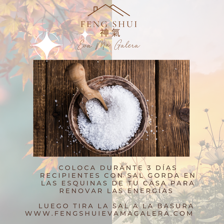 Consejos cambio de estación Otoño 🍂 o Primavera 🌼🌸