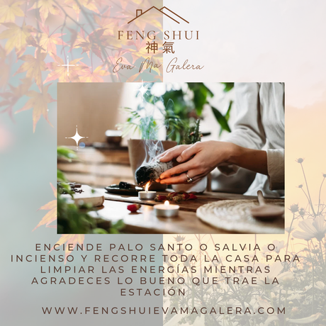 Consejos cambio de estación Otoño 🍂 o Primavera 🌼🌸