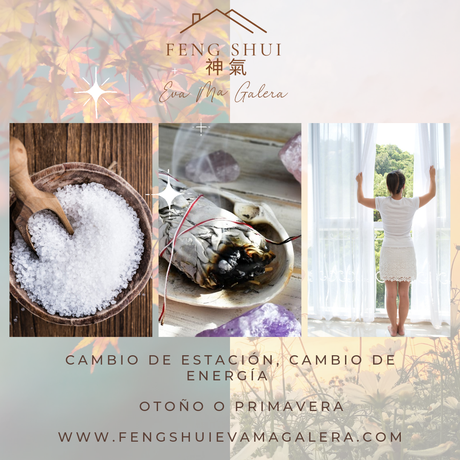 Consejos cambio de estación Otoño 🍂 o Primavera 🌼🌸