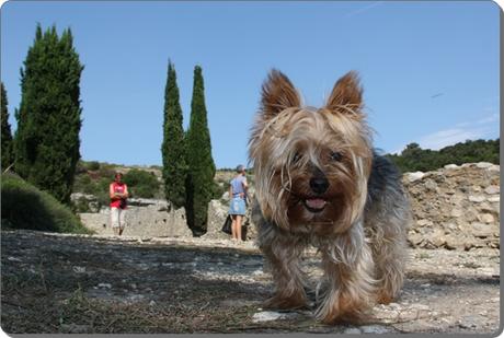 Edén en Minerve, Francia