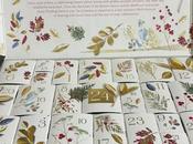 Calendario Adviento Yves Rocher 2023