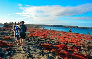 Día Mundial del Turismo, una fecha especial que lidera el camino hacia la conectividad entre las naciones Día Mundial del Turismo, una fecha especial que lidera el camino hacia la conectividad entre las naciones