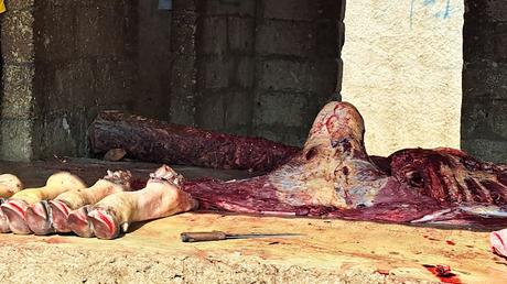 ANGOLA: LAS ETNIAS MUHILA Y MUCUBAL EN LOS MERCADOS ALREDEDOR DE CHIBIA ANGOLA: LAS ETNIAS MUHILA Y MUCUBAL EN LOS MERCADOS ALREDEDOR DE CHIBIA