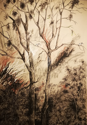 Acerca de «Decolonizar la mirada»: la manipulación en el arte. Acerca de «Decolonizar la mirada»: la manipulación en el arte.