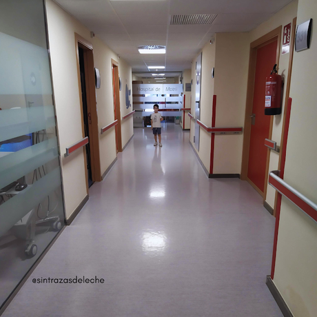 ¿Realmente dejamos de ser alérgicos aunque toleramos ciertos alimentos?