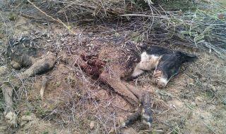 Y tenemos que creernos que esto no existe ...