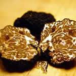 nuez moscada planta medicinal