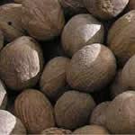 nuez moscada planta medicinal