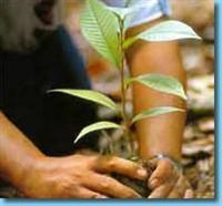 Agenda de actividades para niños y en familia: Del 8 al 12 de febrero de 2012