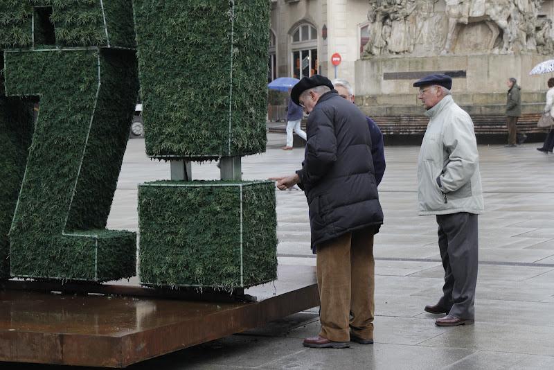 Escultura vegetal en Vitoria.