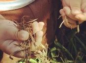 Miércoles Mudo Deditos verdes