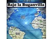 Bajo Buganvilla Delphine Mourgues