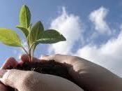 Frases Desarrollo Personal