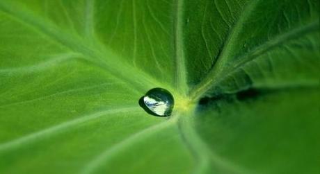 una gota buscando su camino