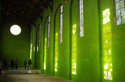 Hierba sobre la piel de la arquitectura