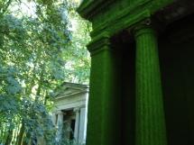 Hierba sobre la piel de la arquitectura