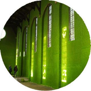 Hierba sobre la piel de la arquitectura