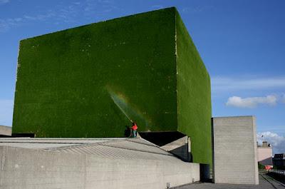 Hierba sobre la piel de la arquitectura