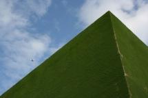 Hierba sobre la piel de la arquitectura