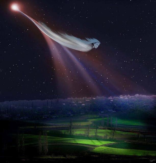 TRABAJADORES INCESANTES DE LA LUZ