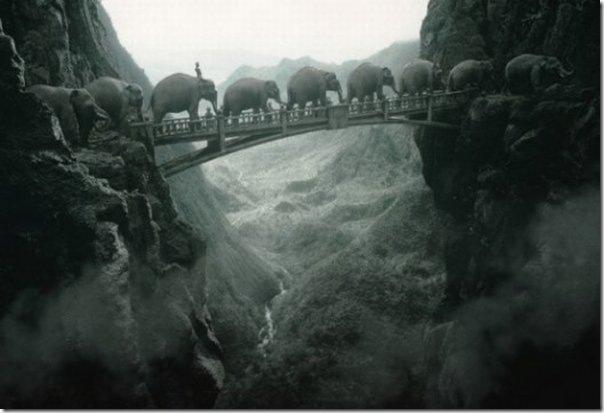 Los ciegos y el elefante