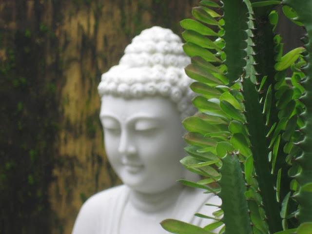 Los ciegos y el elefante