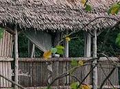 Cabana rustica tanzania