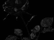 Islands Sleep Forgetting