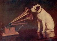 Perro Aristocrático y maricón