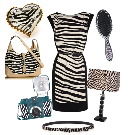 Calzado: Zebra Print