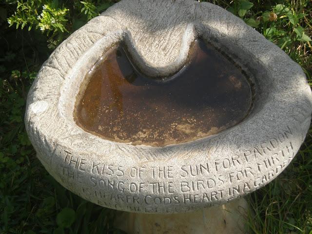 Hace algunos años, visité Tanzania, uno de los mejores vi...