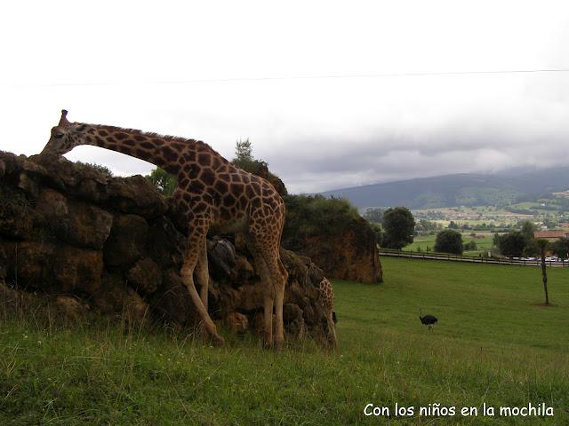 Parque de la Naturaleza de Cabárceno