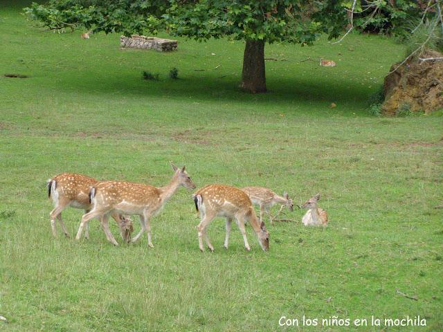 Parque de la Naturaleza de Cabárceno