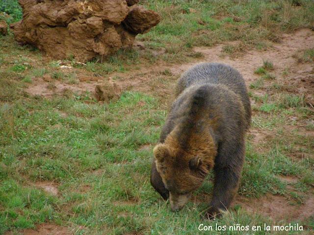 Parque de la Naturaleza de Cabárceno