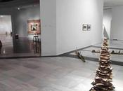 Todos refuxios, juego simulacros